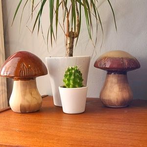 Mushroom home decor 🍄